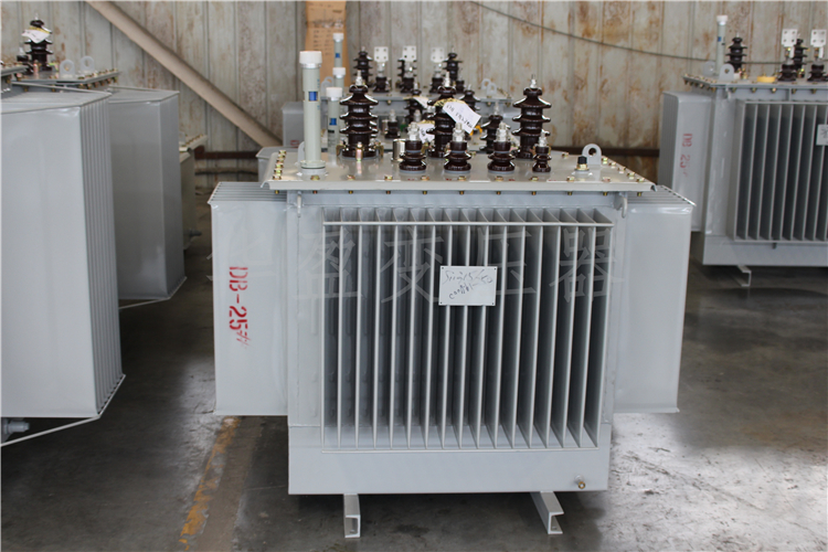 庆阳S20-800kVA/10kV/0.4kV变压器